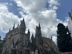 IMG_0335